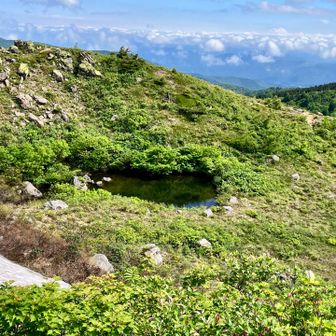 池。ハートに見えなくもない。