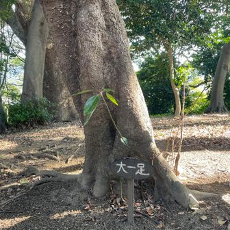 6番目の峰・大一足