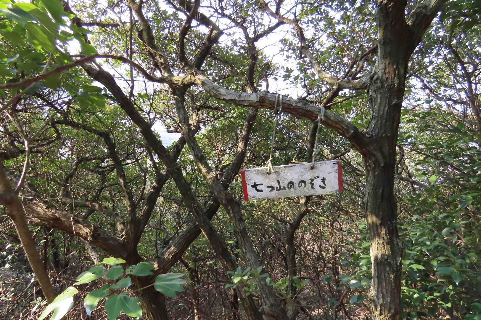 七つ山テラスの先には「七つ山ののぞき」