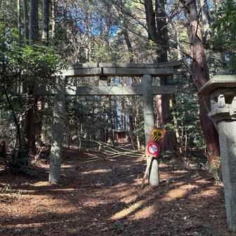 そのまま真っ直ぐ降りて行ったら
崩れかけた鳥居⛩️が、、
⚠️危険⚠️

このルート、どこに降りるのか分からなかったので、戻ります。