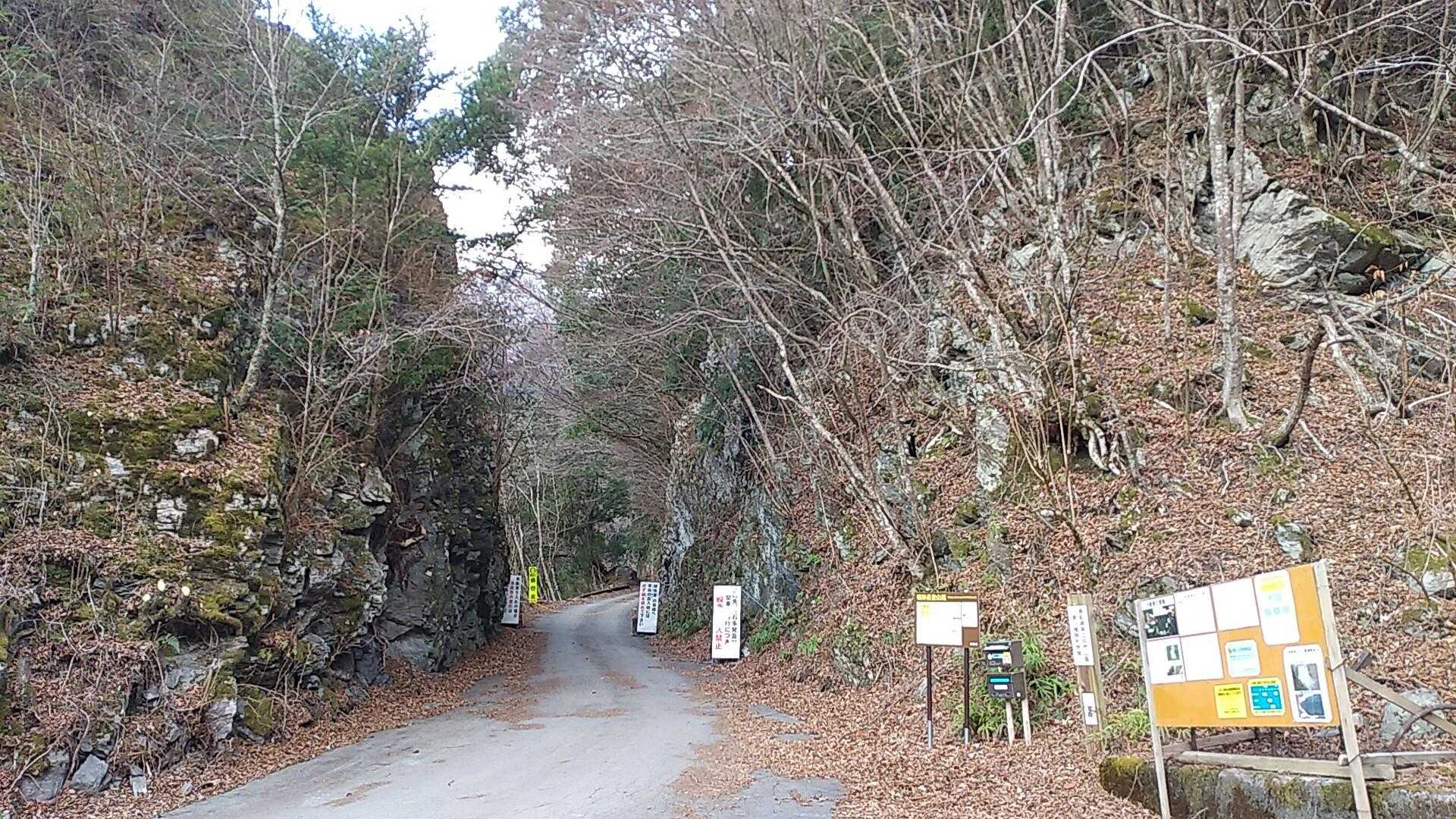 千秋林道歩きでスタート