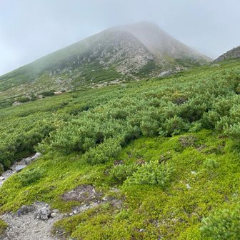 大汝峰へ行く予定だったけど
ガスってるのと雷雨⚡️
が心配で下山🗓️