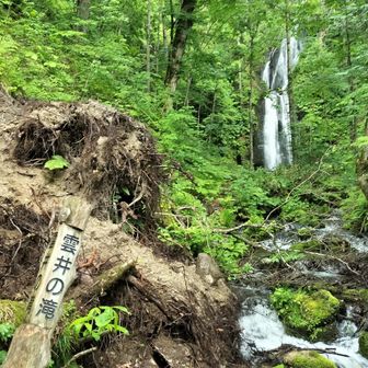 ここのバス停で乗るか、ひとつ先まで行くか、迷った挙句に戻った