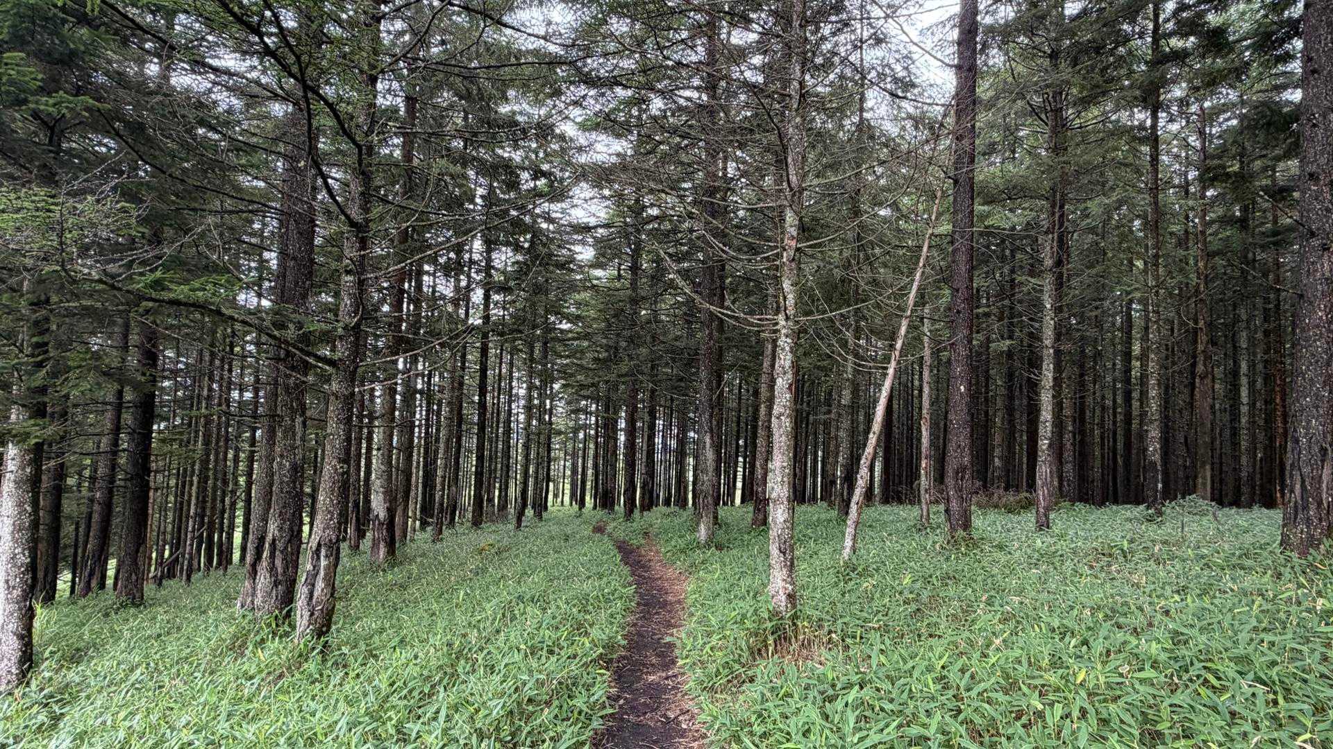 お！好きな感じの風景やけどなんかここ通るの怖い😅しかも誰も見当たらん🫢