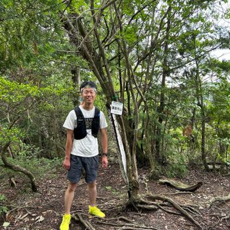 鎌倉寺山登頂🙌
最後は樹林帯メインで鬱蒼とした感じなので、ピークを取ったらすぐに引き返します💨