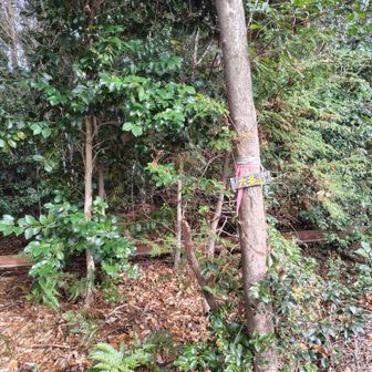 プレートはここ