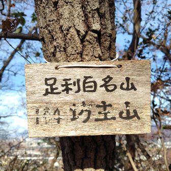 1座目　坊主山
あっという間に山頂へ。坊主というだけあって、山頂は平らで何もありませんでした。眺望もないけれど😅