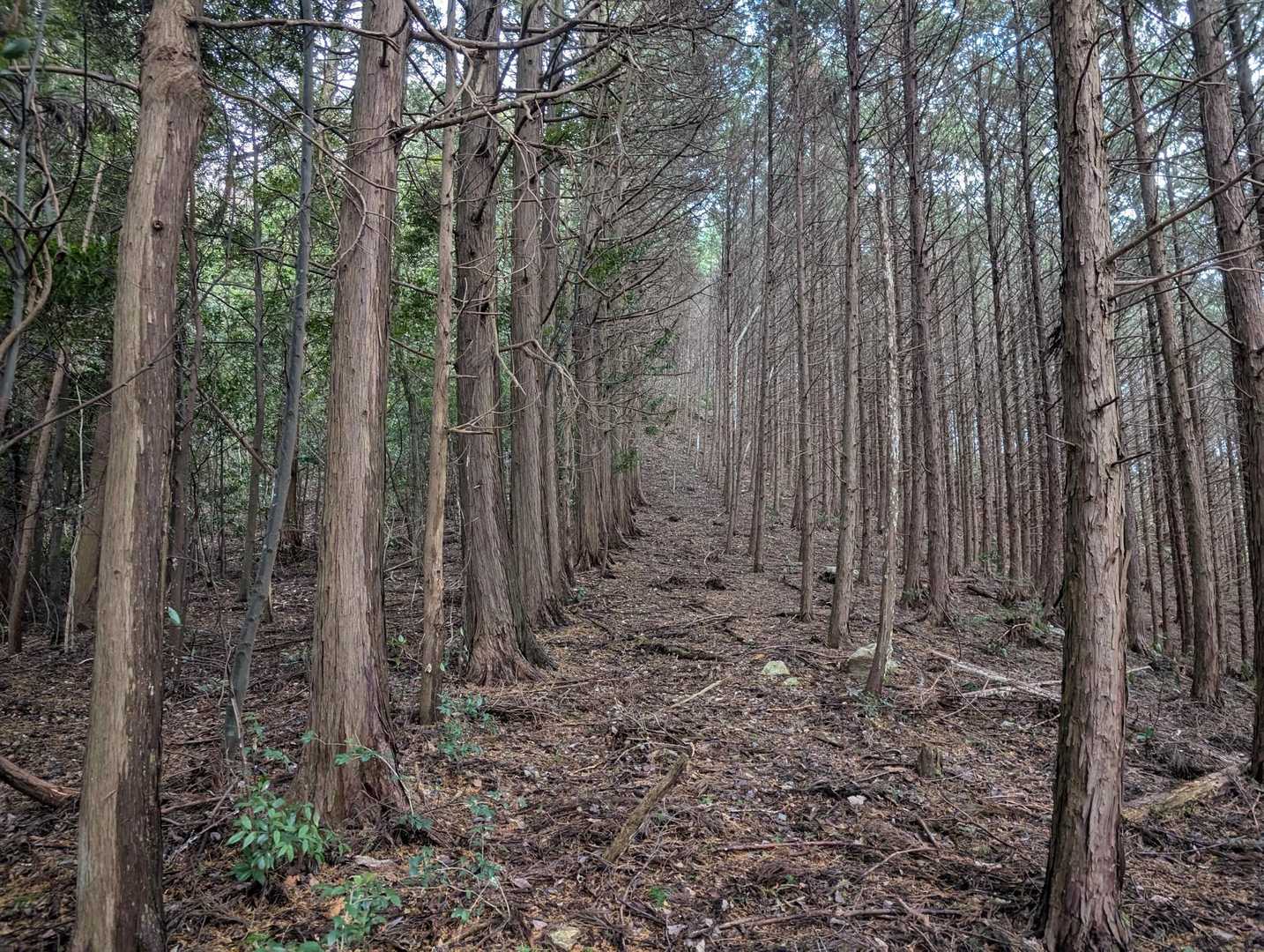 登り1直線✨
