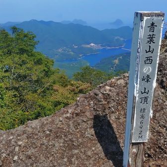 青葉山西峰山頂