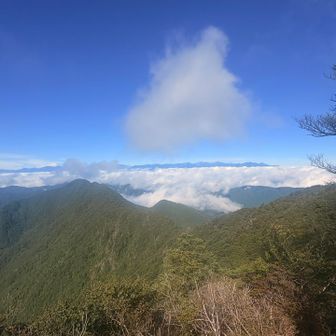 雲海
