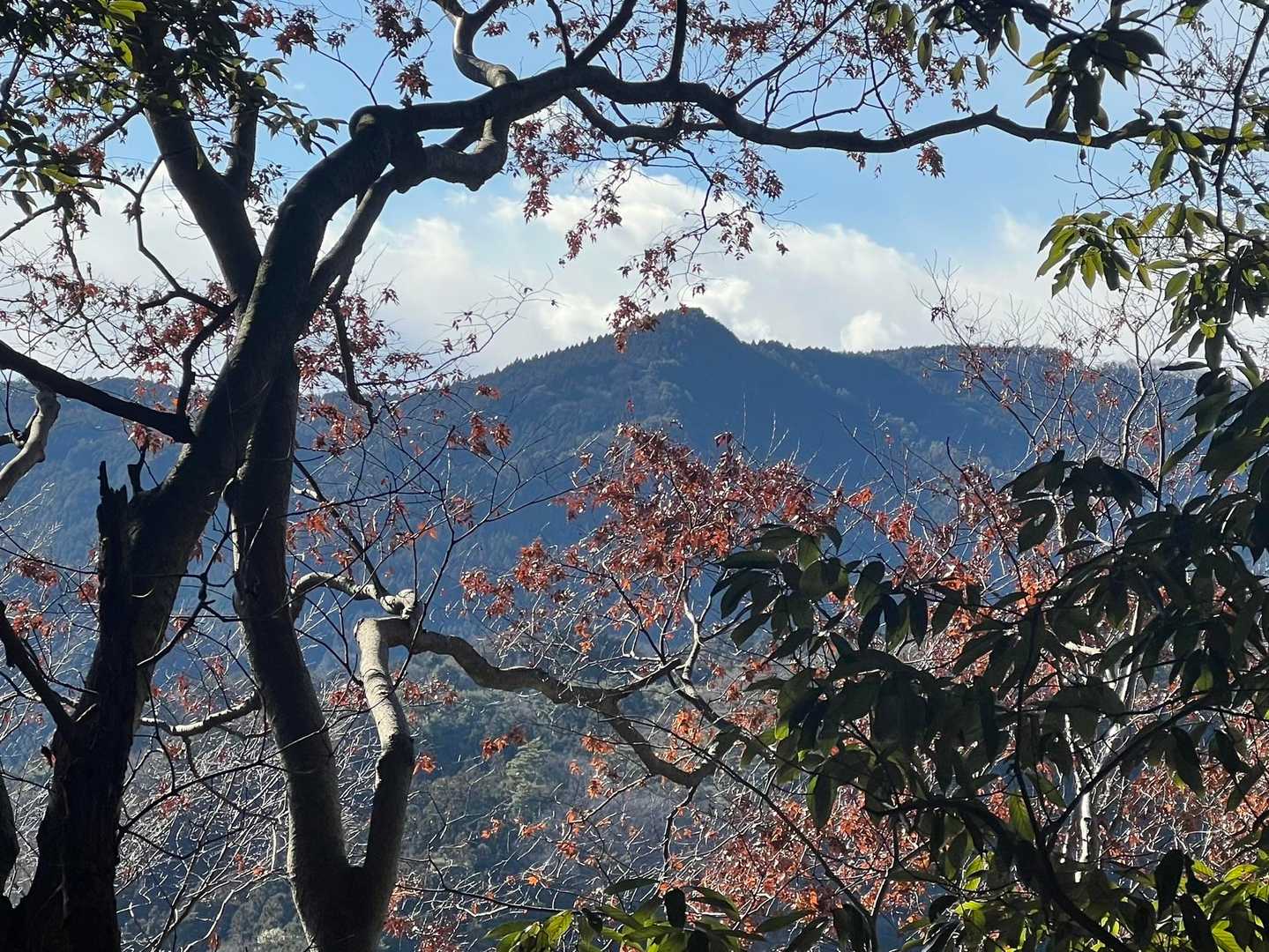 高山御嶽山-日向山 往復コースの写真