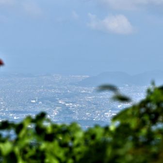 　　　　北　　　讃岐平野
　　　…残念、イマイチ…