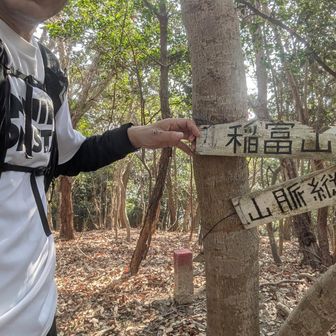 稲富山のピーク