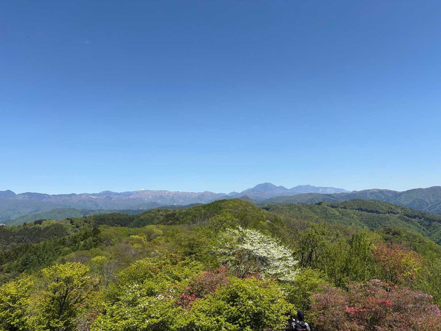 十二山-熊鷹山 往復コースの写真
