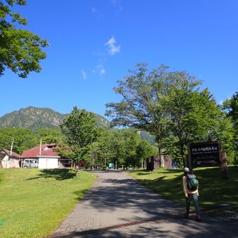 ここから登山道へ