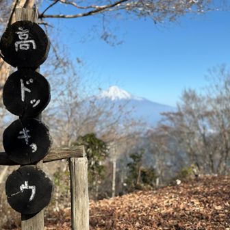 樹林帯、キツめの急登を、グイッと進み💦
やっと来れました、高ドッキョウ🤩