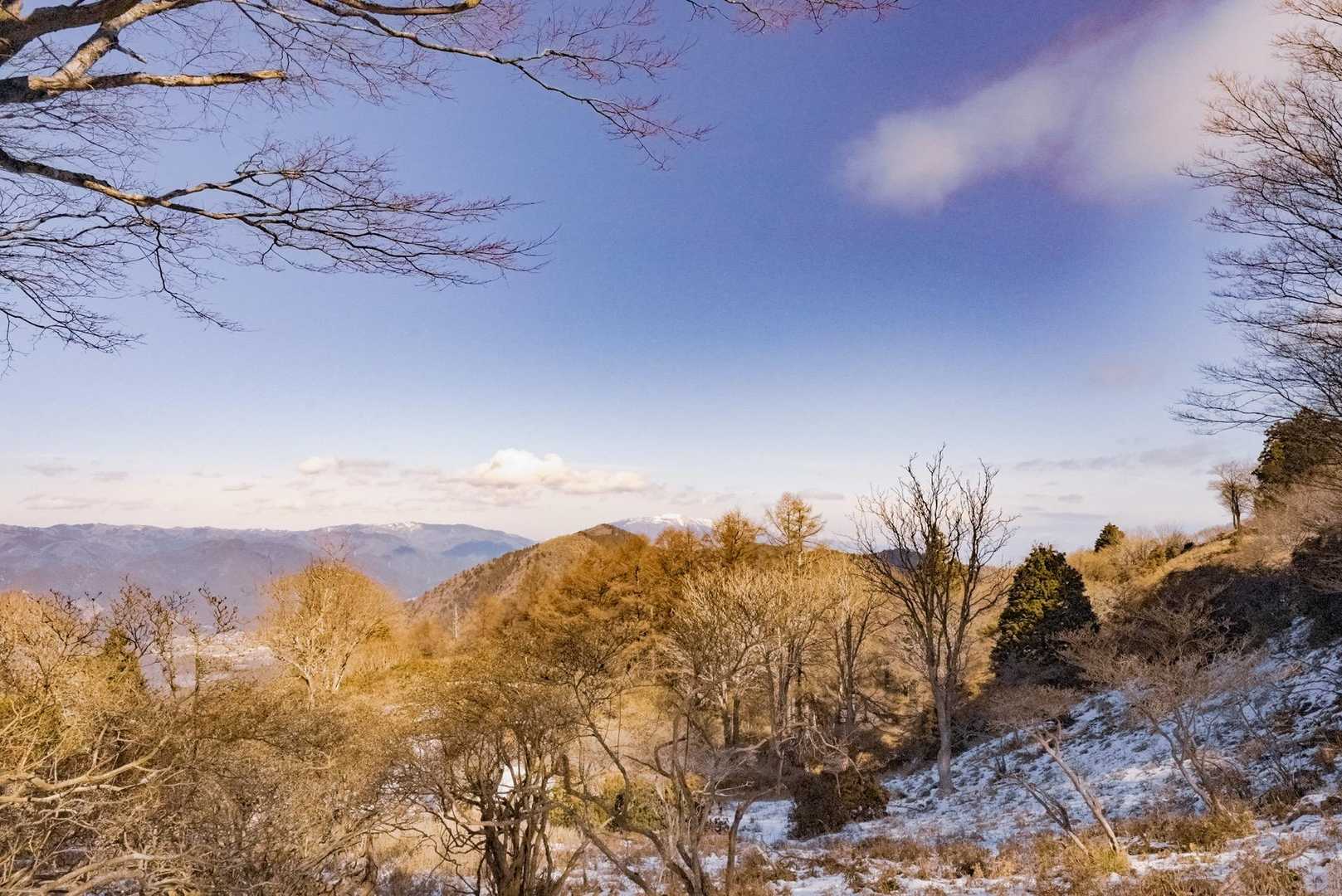 比叡山登山口-修学院山-大比叡-ケーブル比叡駅 往復コースの写真