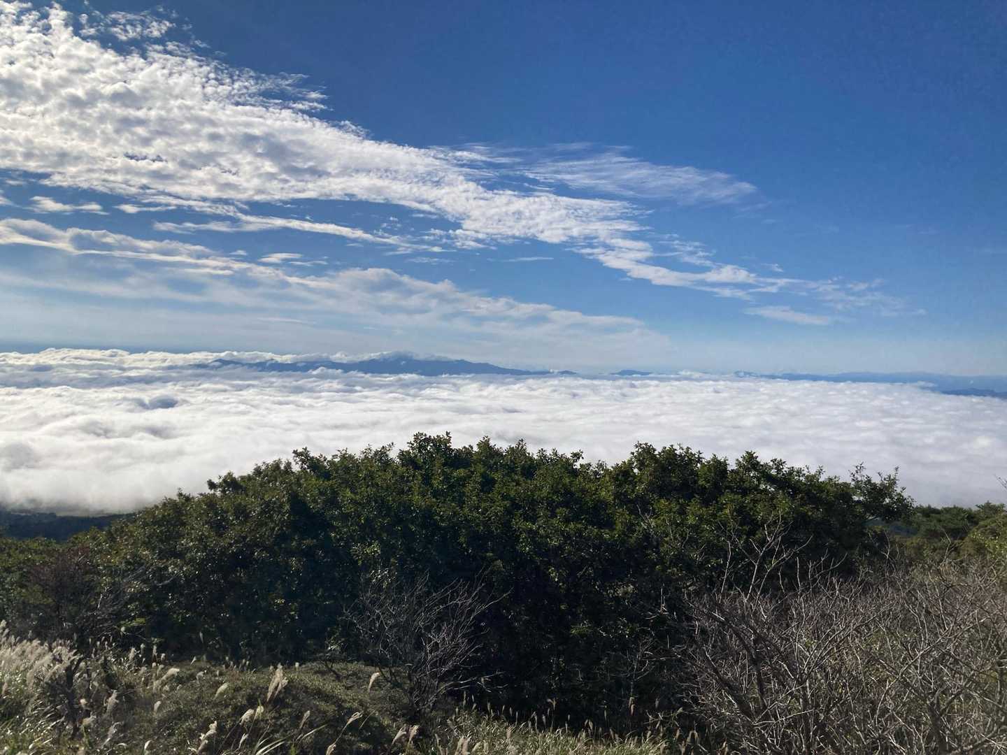 赤川登山口-扇ヶ鼻 往復コースの写真