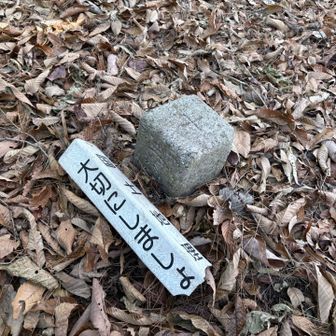 三角点だけ大切にしてもね。