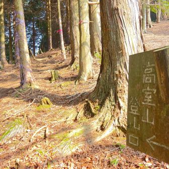 ここから山頂はスグでした〜😆