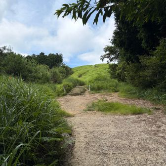 突然現れる山上の小さな丘感で
不思議な光景