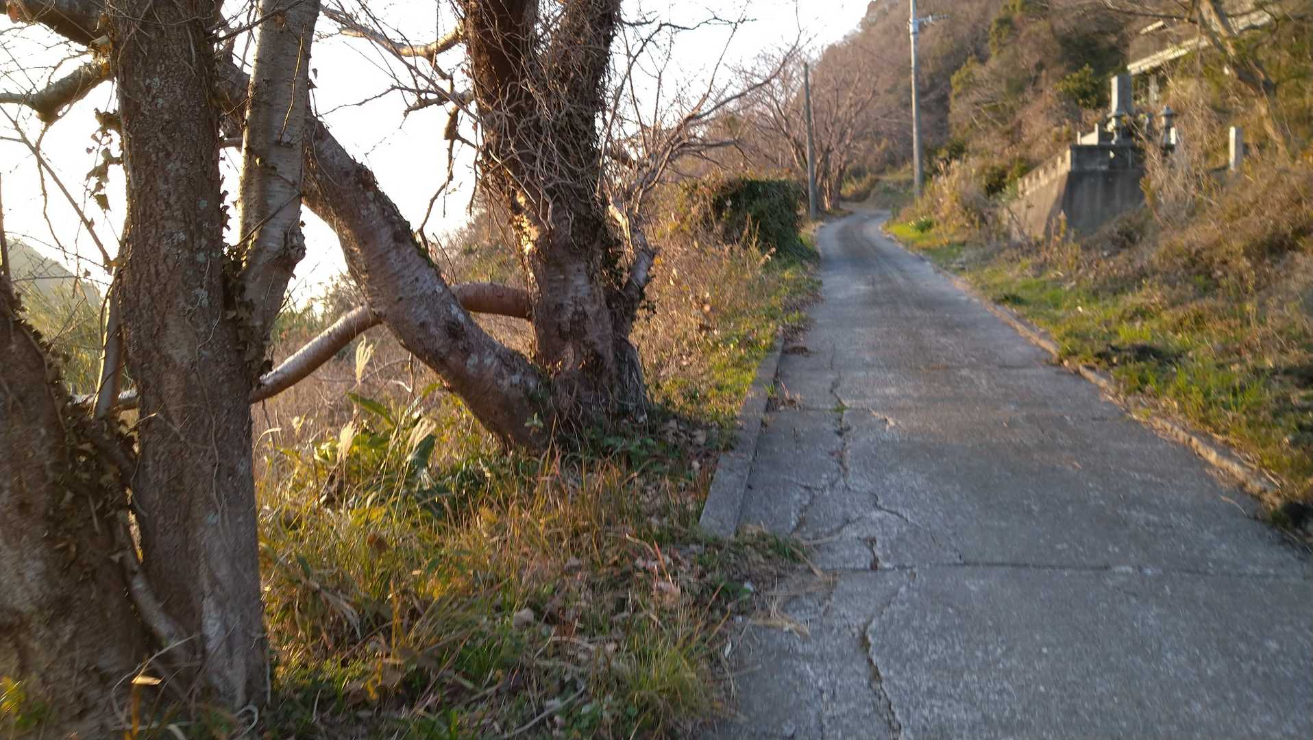 柴尾山 往復コースの写真
