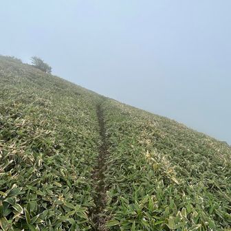さあ、下山💨