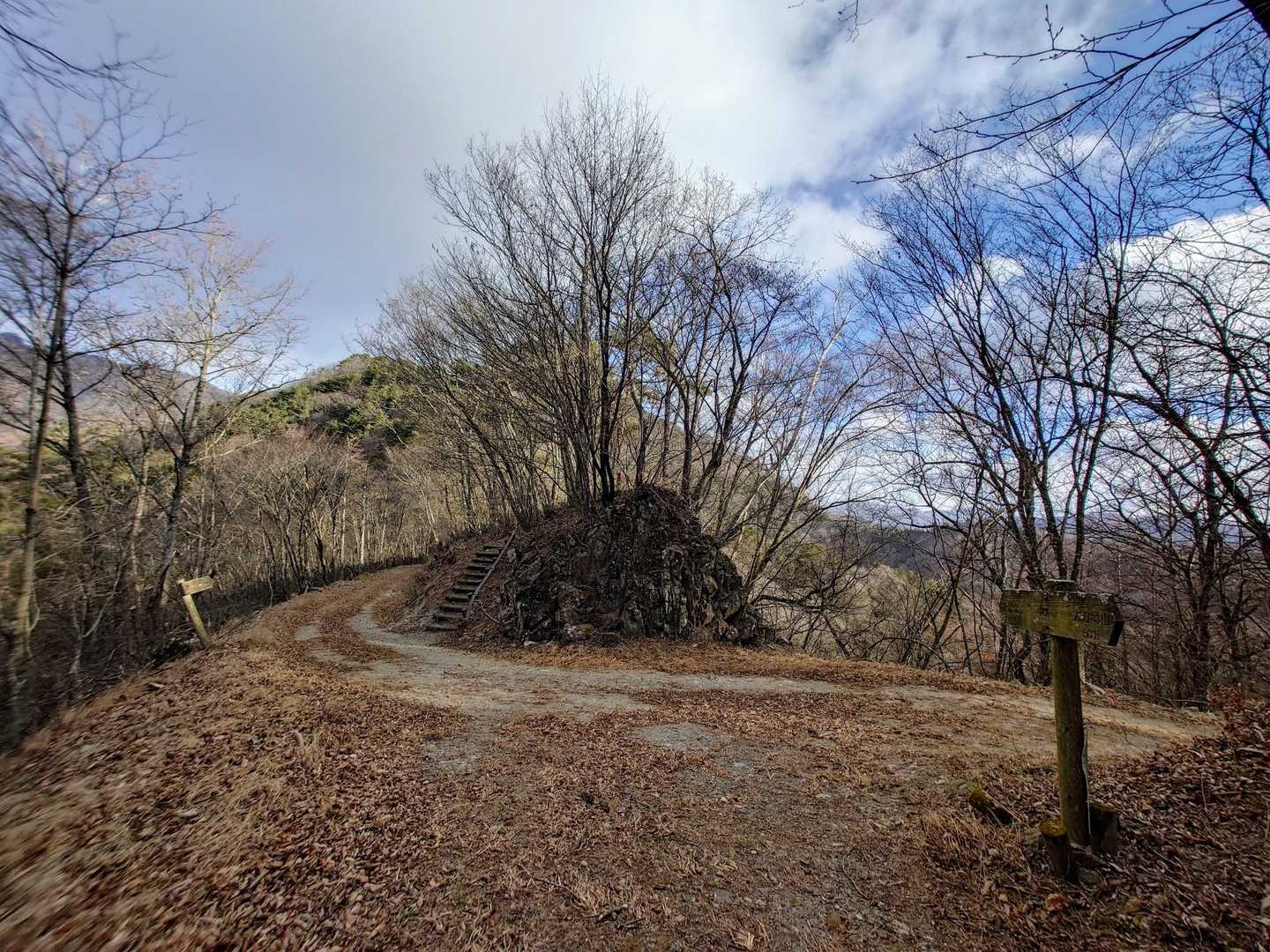 越後峠
ここは階段を上がって進むよ😃
太刀岡山から鬼頬山に続く稜線上に古い林道が横断しています！