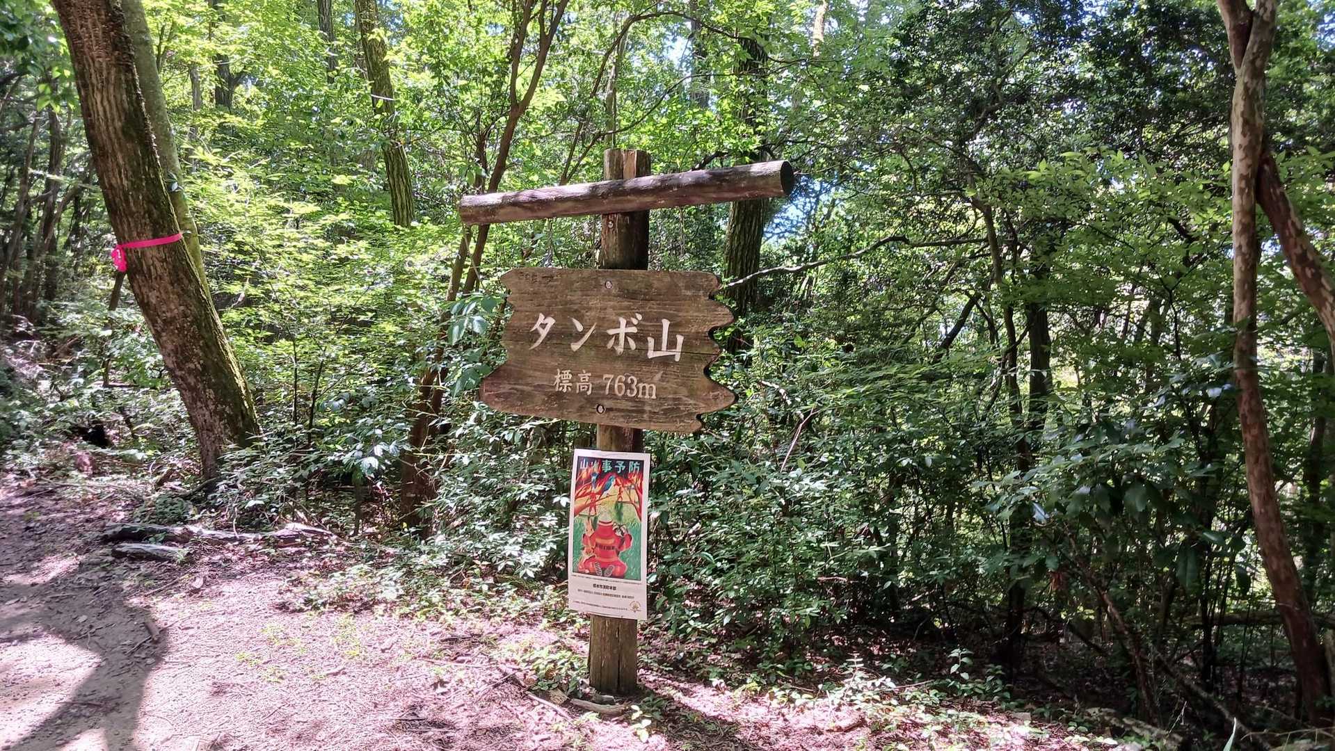 タンボ山到着
本当はこの場所じゃないですけどね🤫