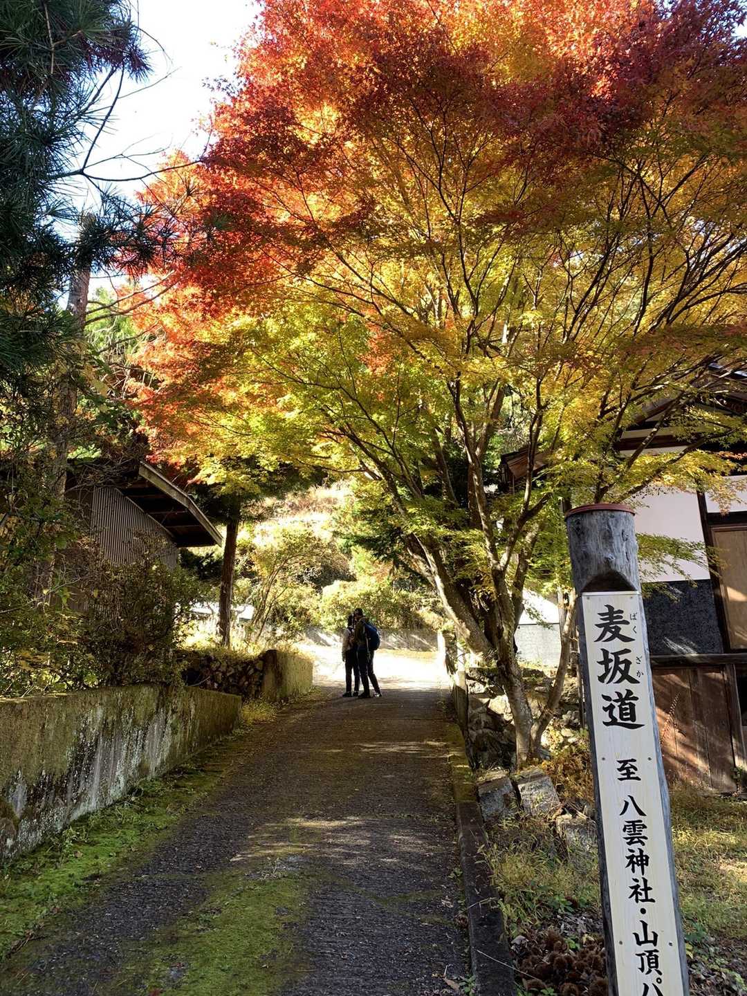 日本有数の渓谷美を誇る昇仙峡　最高峰・弥三郎岳からのパノラマも！の写真