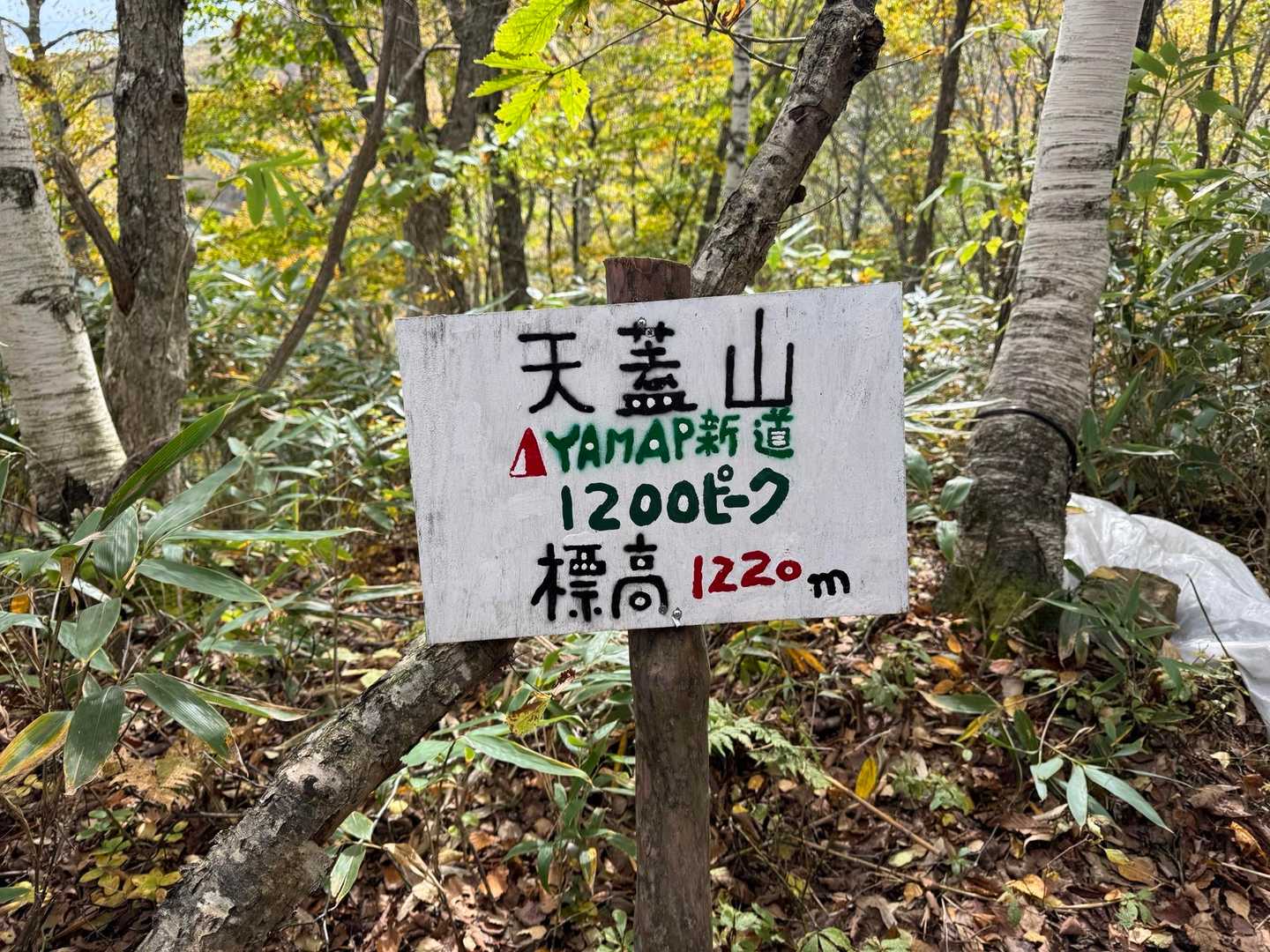 1220mまで来ました❗️