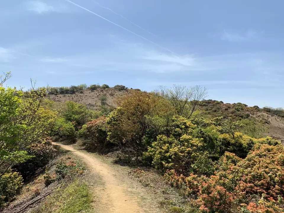 小倉山の写真