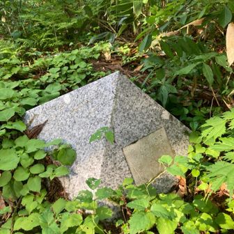 ピラミッド形は
エチコマの山容を表してる
見えなかったので実感が🈚️