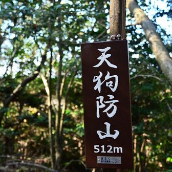 天狗防山　登頂しました🙌
こちらにもどんぐりトトロがいます❤️