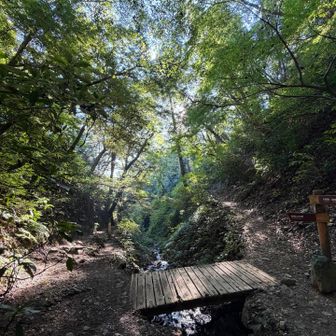 6号路山道