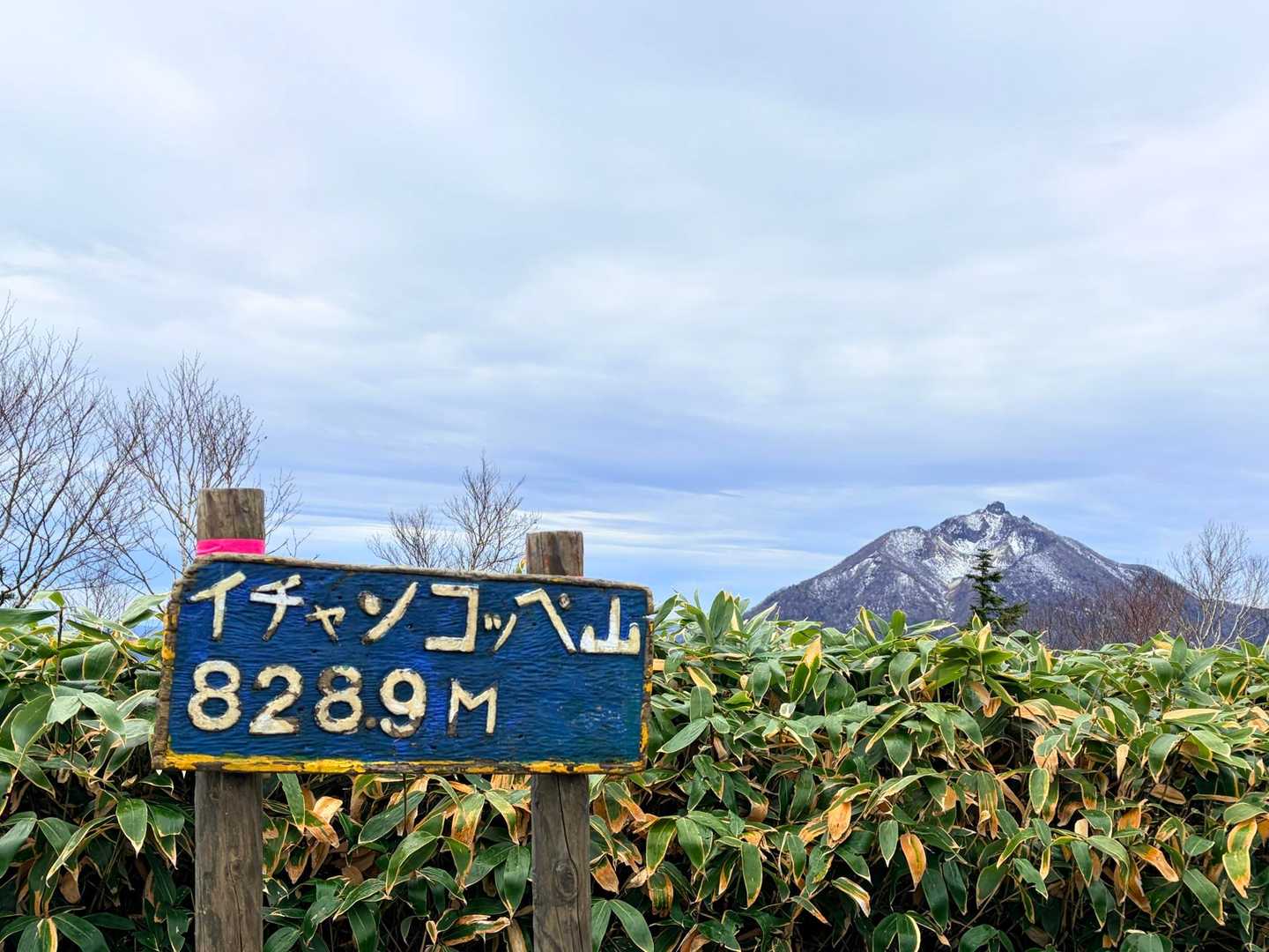 イチャンコッペ山頂⛰️🪧

後方の恵庭岳⛰️と共に