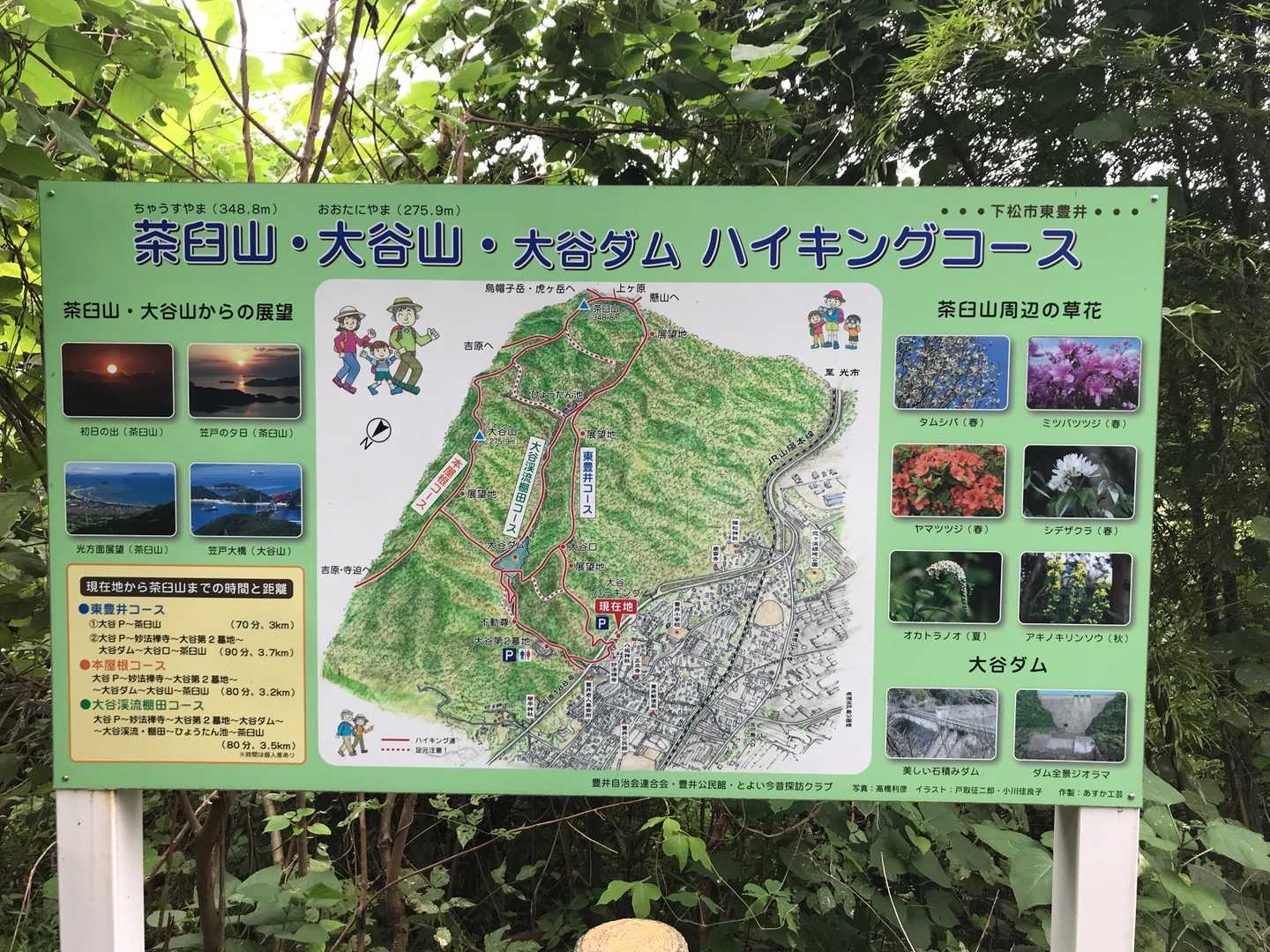 茶臼山 往復コースの写真