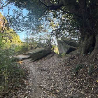 ここでミスコース💦