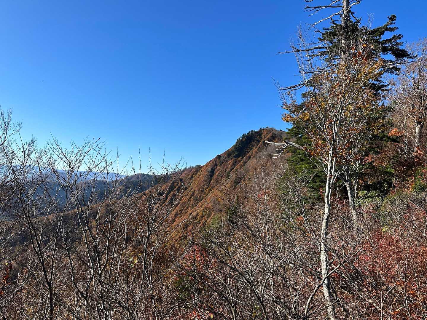 山頂はあっち