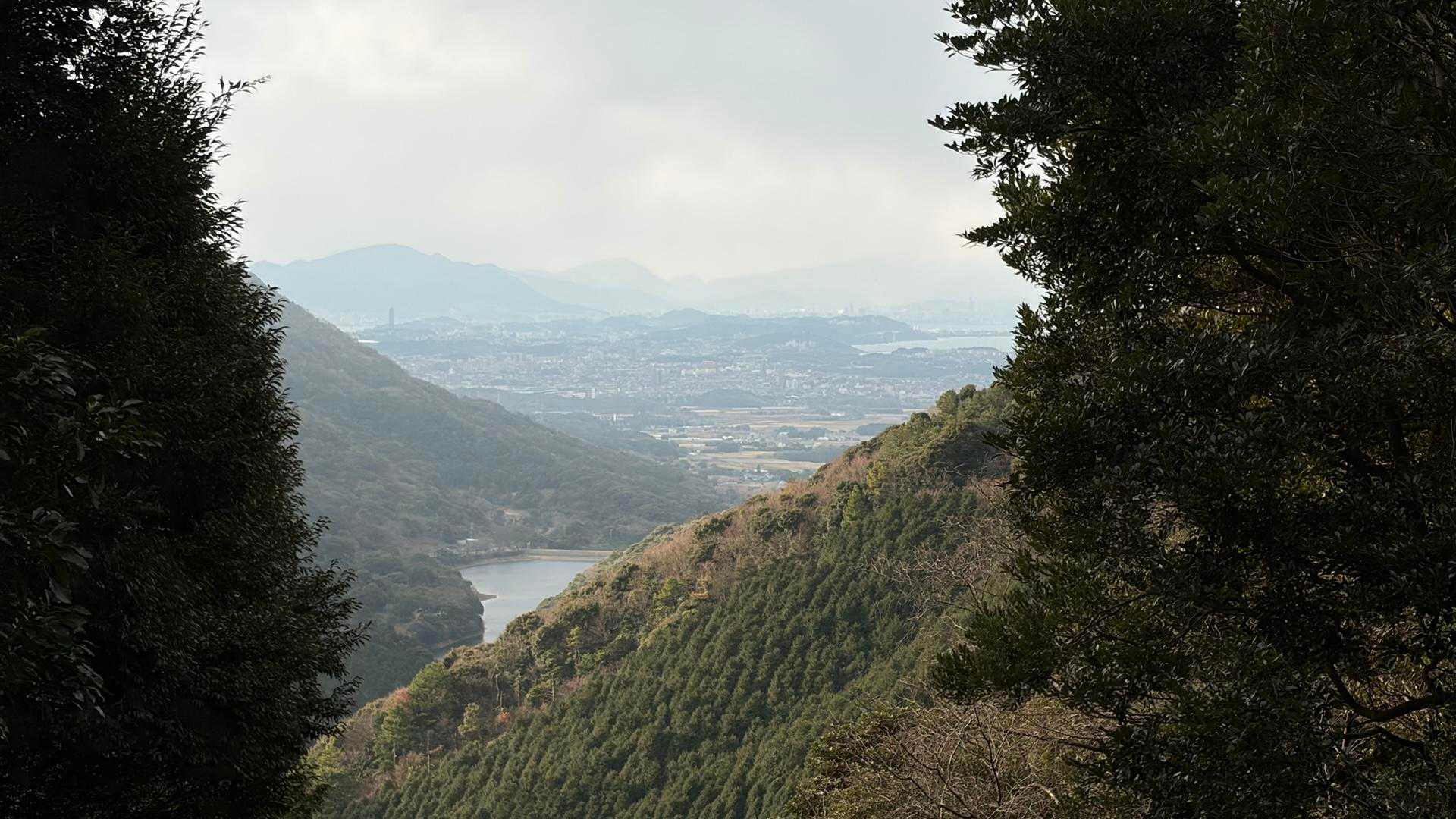 竜王山 往復コースの写真