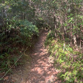 久しぶりの山道🚶‍♂️
気持ちいい😊