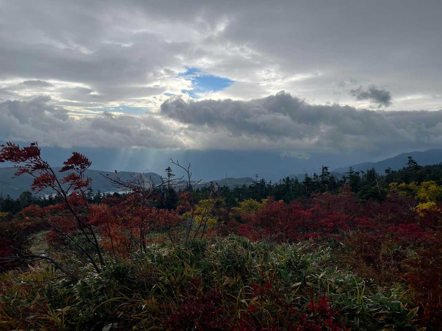 祓川登山口-山頂駅-神楽ヶ峰-苗場山 縦走コースの写真