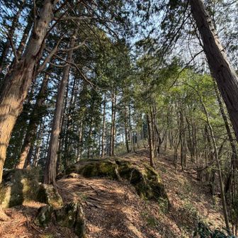 来た道を戻り、畳岩
見る角度が違うと
また楽しい😆