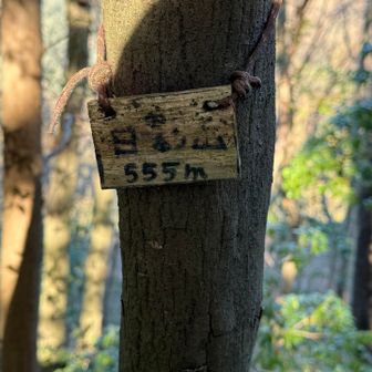 ちょっとコースを外れて日影山へ