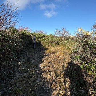 景色は無いものの突風を凌げるのが有難い！
大深岳山頂