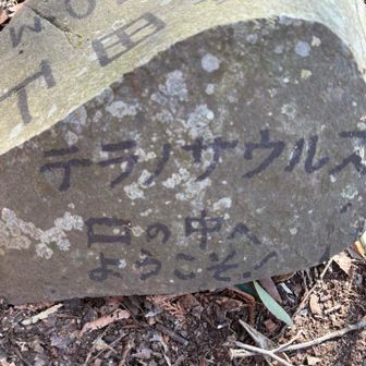 口の中の青田山（オオダ山らしい）到着😊
あとはなだらかなはず。