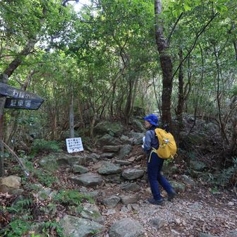 行縢山 途中の駐車場からの合流点