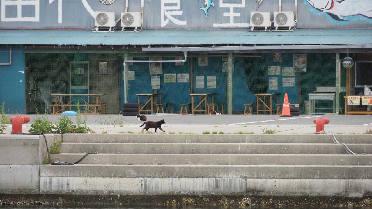 みちのく潮風トレイル#1／松川浦〜女川駅 の写真 108