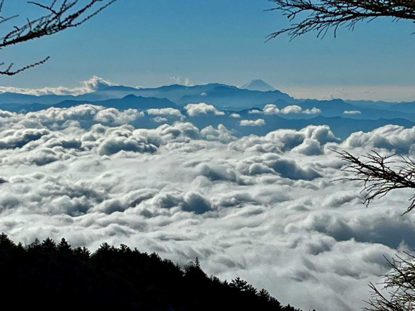 少し標高を上げたら見事な雲海☁️✨
その向こうには富士山 <／^o^＼>