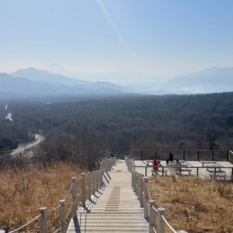 富士山はうっすら遠くに🗻